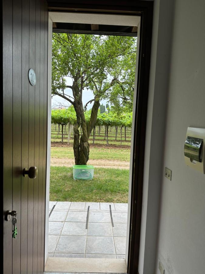 Agriturismo Fioravante San Pietro in Cariano Exterior photo